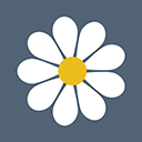 De eerste ervaringen